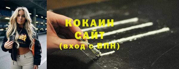 крисы Абаза