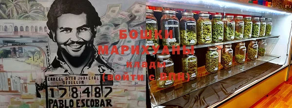 apvp Алзамай