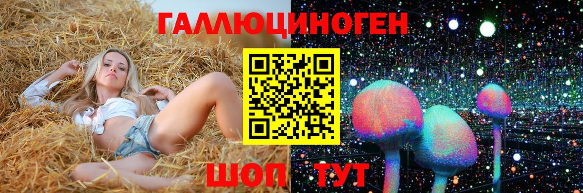 Псилоцибиновые грибы Cubensis Костомукша